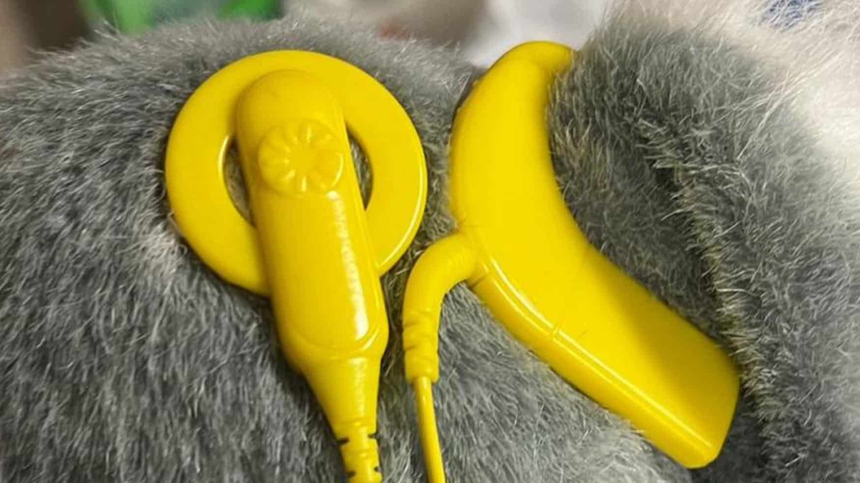 Cochlear implant model