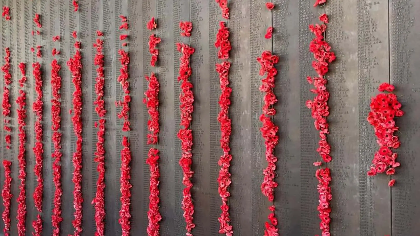 Rows of red poppies cascade down the Roll of Honour at the Australian War Memorial, symbolising remembrance and sacrifice