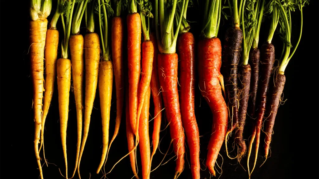 Assorted heirloom carrots in yellow, orange, and purple shown as an ingredient for Magma by Dany Karam
