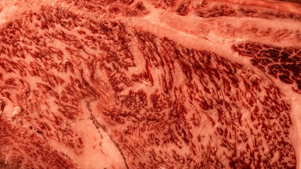 Close-up of marbled raw beef with pronounced fat marbling