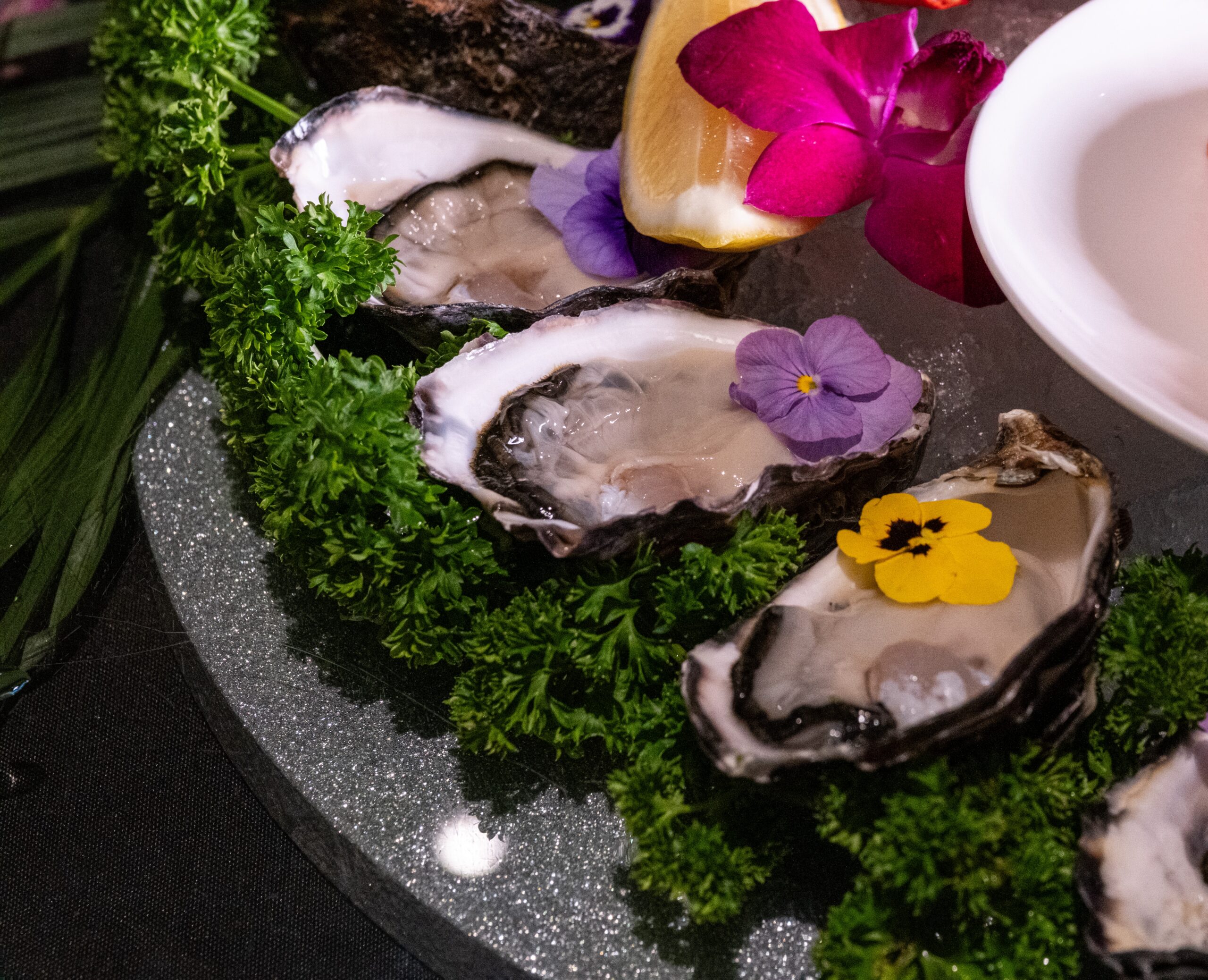 Oysters
