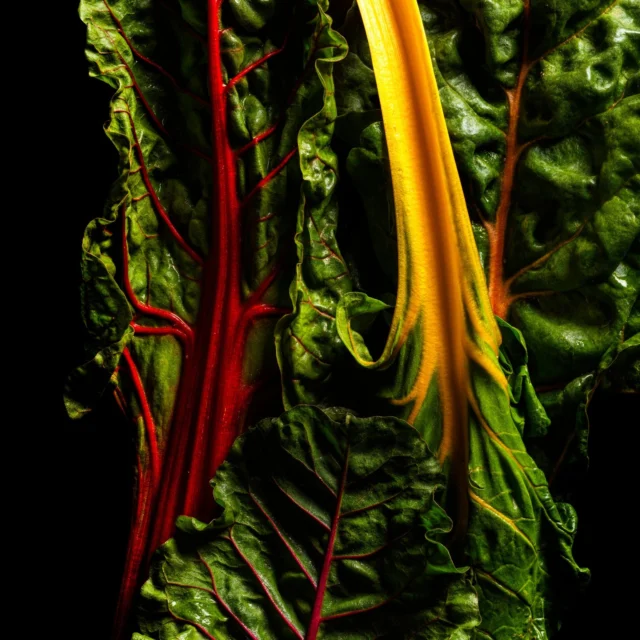 Vibrant, seasonal, and full of flavour.

Freshness that speaks for itself.

Be among the first to experience Magma this November. Book Now. 

#MAGMAbyDanyKaram #Magma #PremiumSteak #SteakhouseSydney #FreshProduce