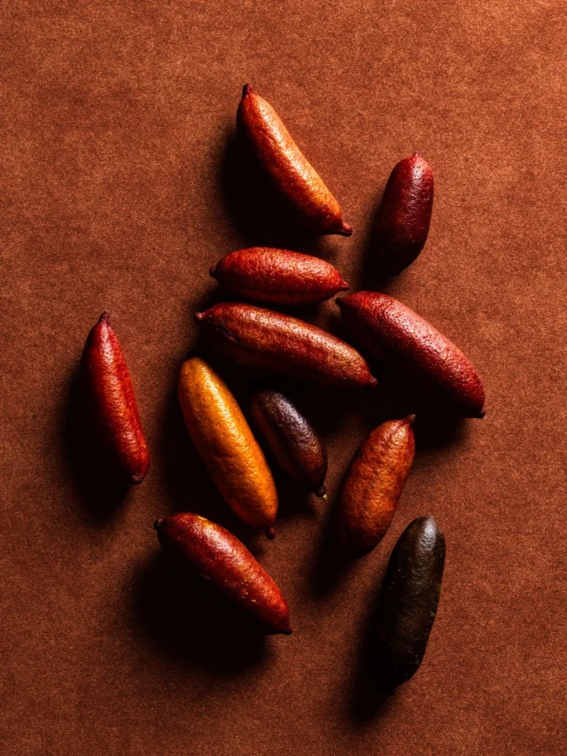 Tiny bursts of brightness.

Finger limes — delicate, intense, unforgettable.

Magma by Dany Karam opens 19th of November.

#magma  #danykaram  #cabravale