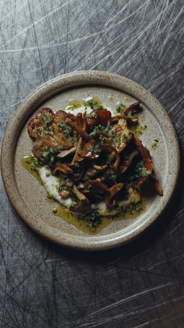 An assortment of the finest wood-fired mushrooms from @mindrise.au, with Meredith goat’s curd, persillade brown butter.

#magma #danykaram #cabravale